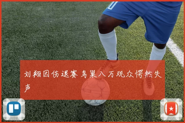 刘翔因伤退赛鸟巢八万观众愕然失声