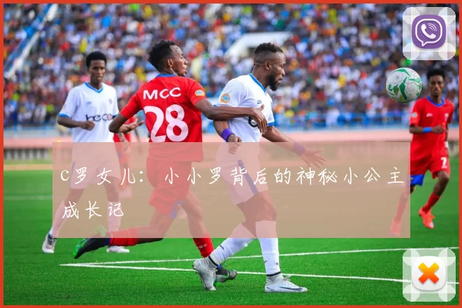 c罗女儿：小小罗背后的神秘小公主成长记