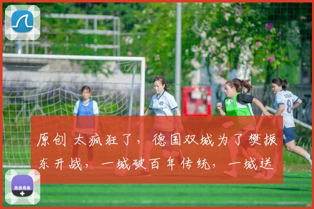 原创 太疯狂了，德国双城为了樊振东开战，一城破百年传统，一城送股改名