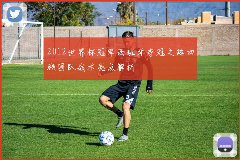 2012世界杯冠军西班牙夺冠之路回顾团队战术亮点解析